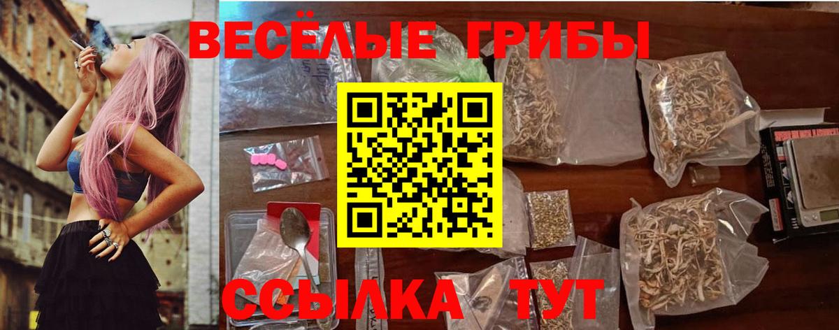 Троицк  Галлюциногенные грибы прущие грибы  где купить наркоту  Вход с VPN 